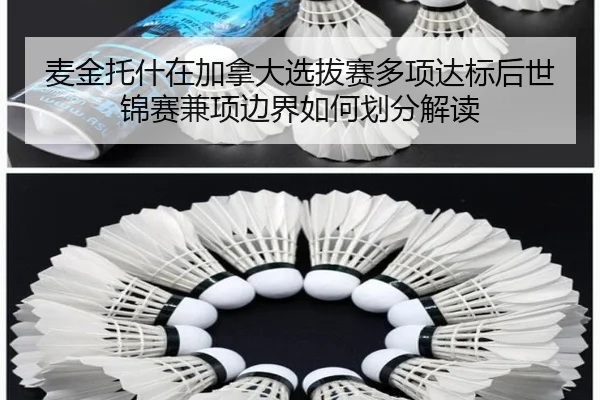 mai-jin-tuo-shen-zai-jia-na-da-xuan-ba-sai-duo-xiang-da-biao-hou-shi-jin-sai-jian-xiang-bian-jie-ru-he-hua-fen-jie-du-2-484.jpg