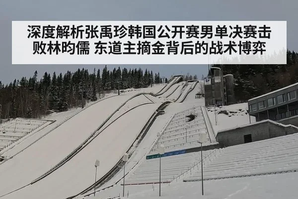 深度解析张禹珍韩国公开赛男单决赛击败林昀儒 东道主摘金背后的战术博弈